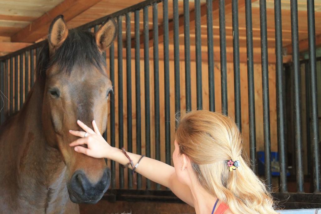 Stajnia Sarnowek Nad Jeziorem Rozany Rozajny Wielkie Exteriör bild
