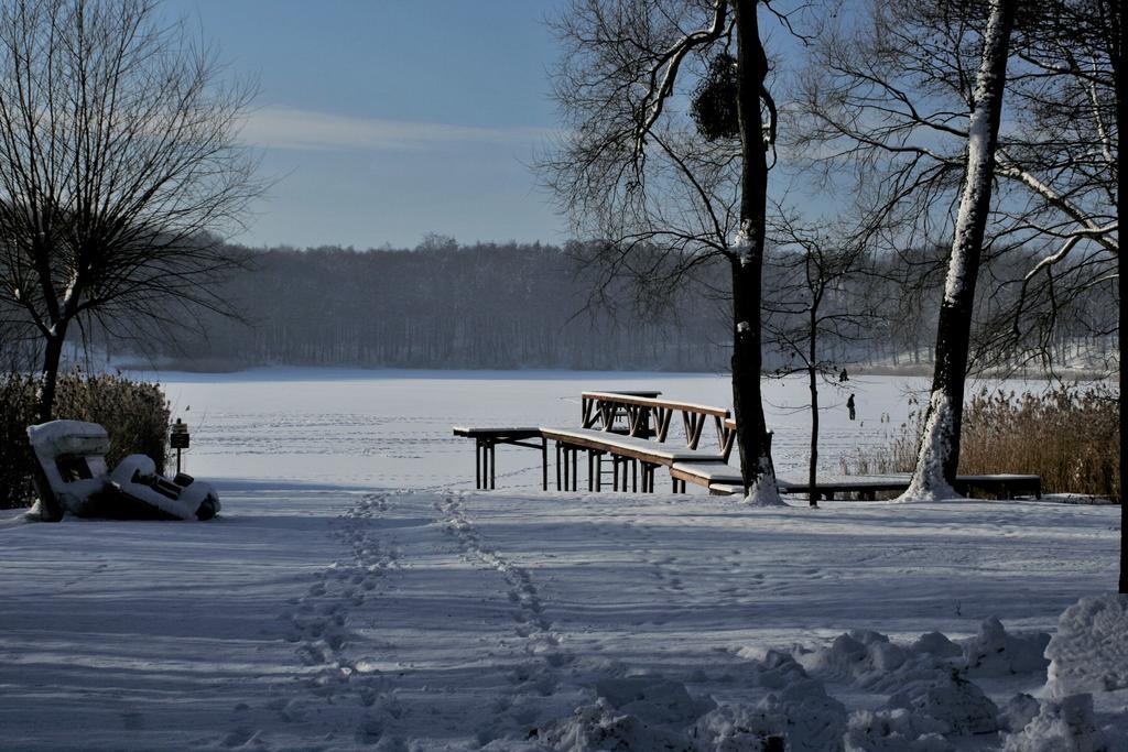 Stajnia Sarnowek Nad Jeziorem Rozany Rozajny Wielkie Exteriör bild