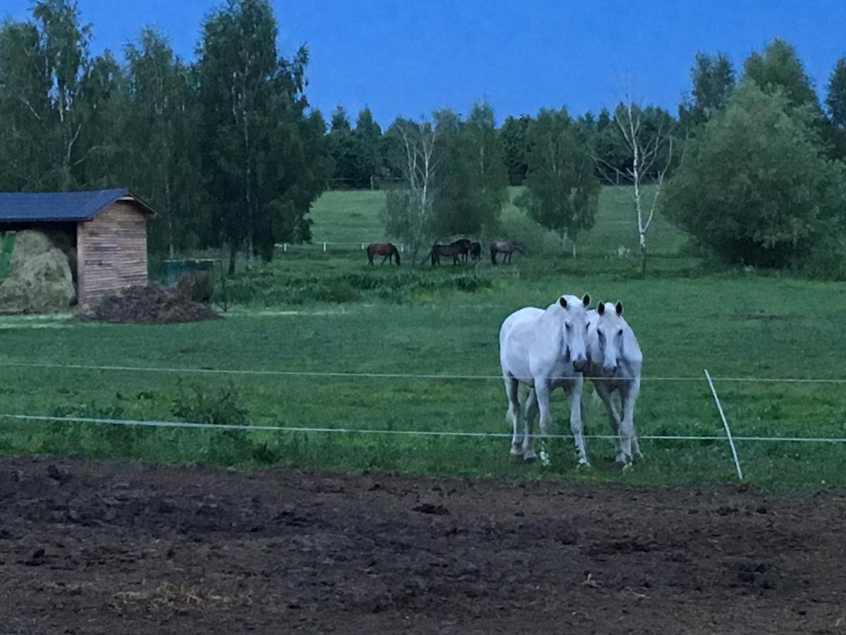 Stajnia Sarnowek Nad Jeziorem Rozany Rozajny Wielkie Exteriör bild