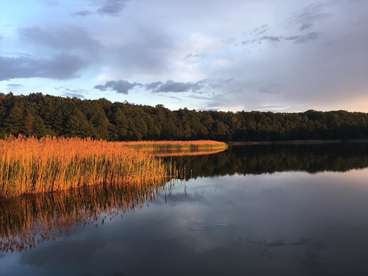 Stajnia Sarnowek Nad Jeziorem Rozany Rozajny Wielkie Exteriör bild
